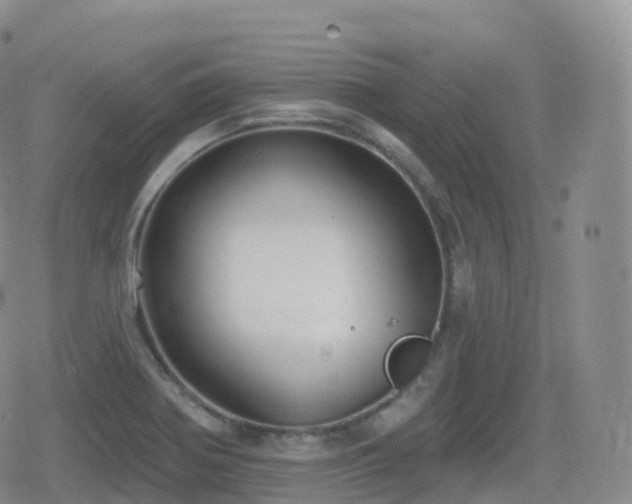 X0000080721370200612151148