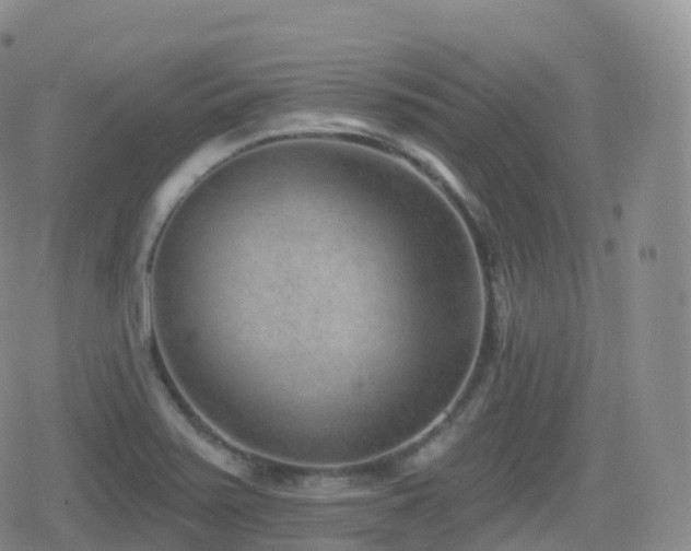 X0000080721371200612151148