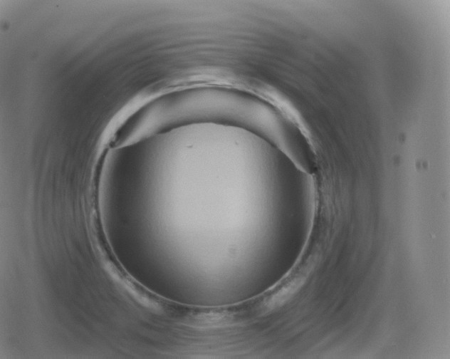 X0000080721373200612151148