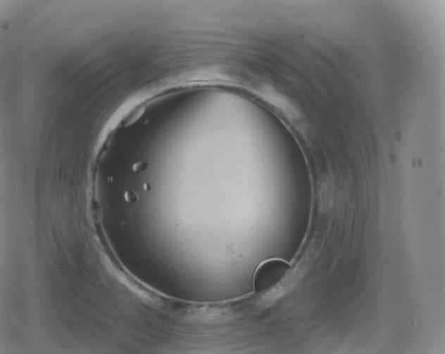 X0000080721374200612151148