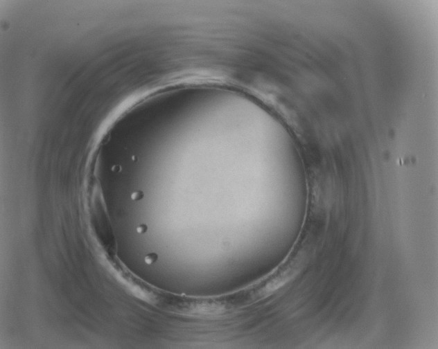 X0000080721375200612151148