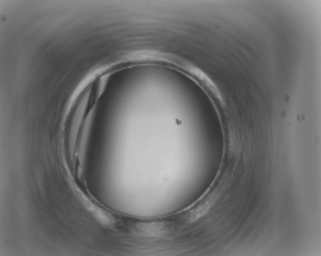 X0000080721376200612151148