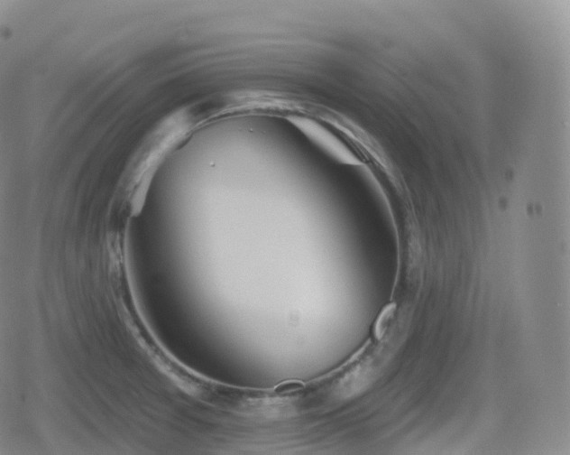 X0000080721377200612151148