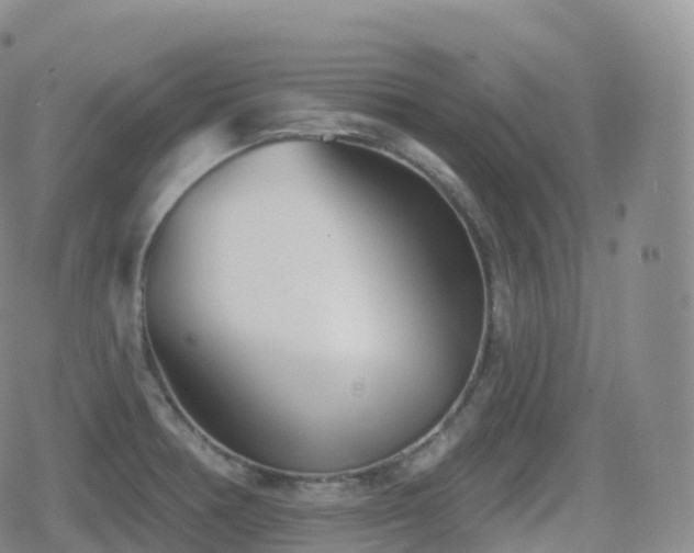 X0000080721378200612151148