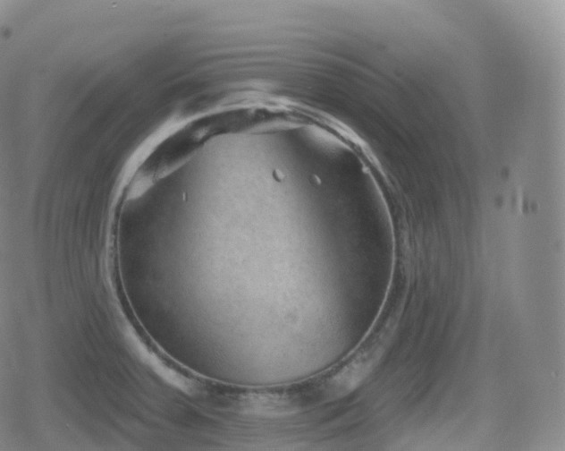 X0000080721379200612151148