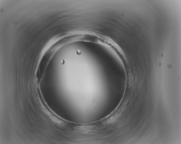 X0000080721380200612151148