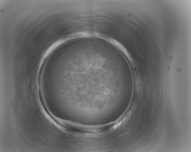 X0000080721381200612151148