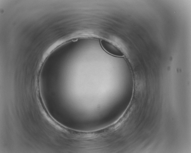 X0000080721382200612151148