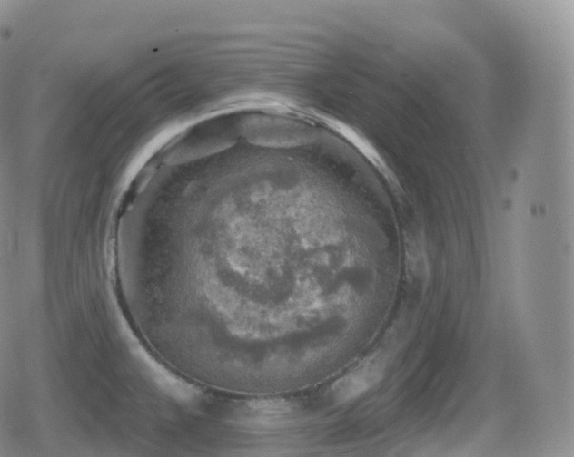 X0000080721383200612151148