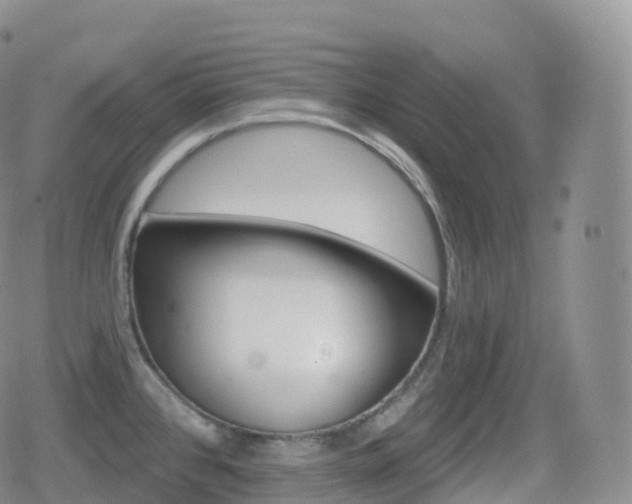 X0000080721384200612151148