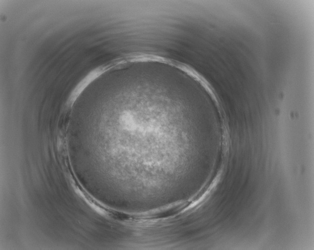 X0000080721385200612151148