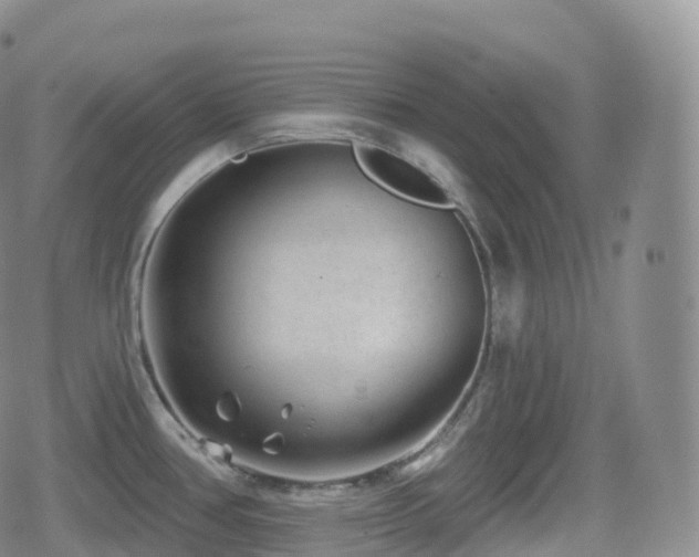 X0000080721386200612151148