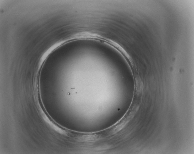 X0000080721387200612151148