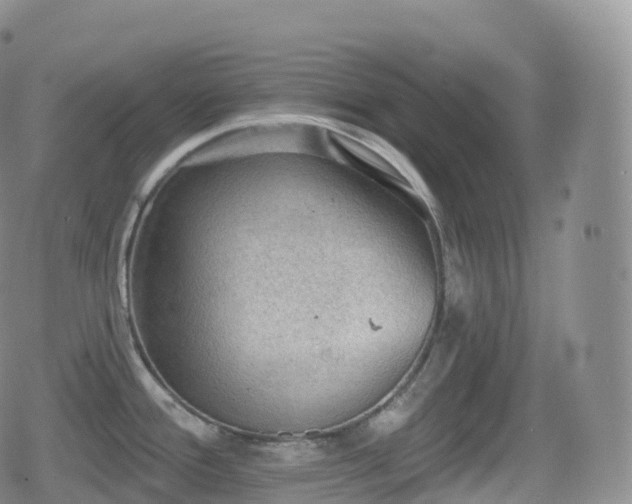 X0000080721388200612151148