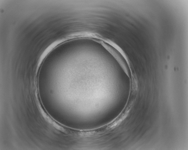 X0000080721389200612151148