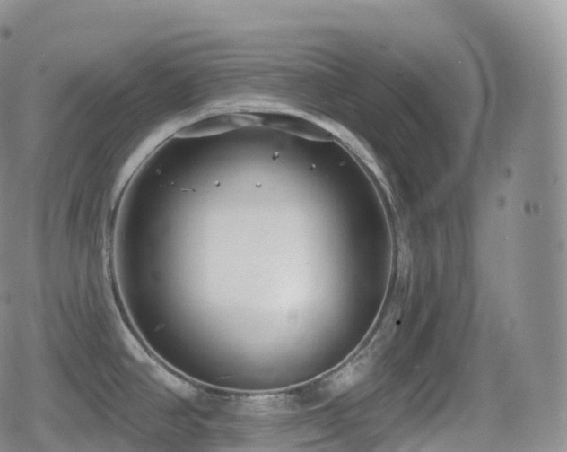 X0000080721390200612151148