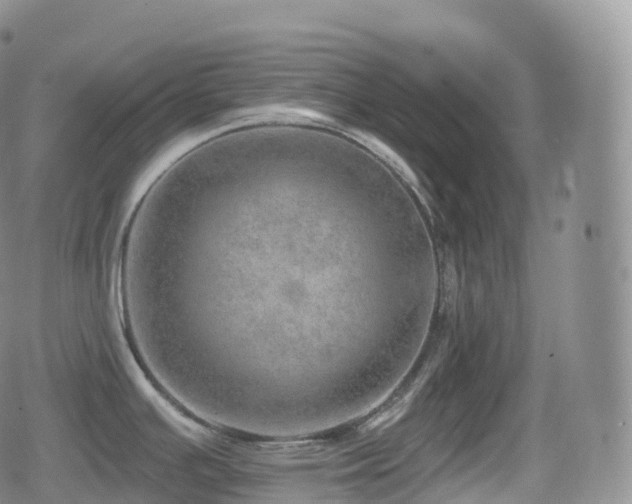 X0000080721391200612151148