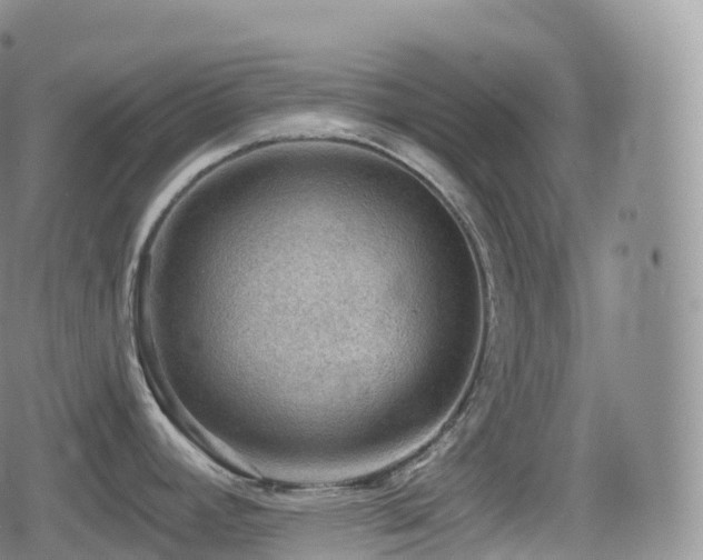 X0000080721392200612151148