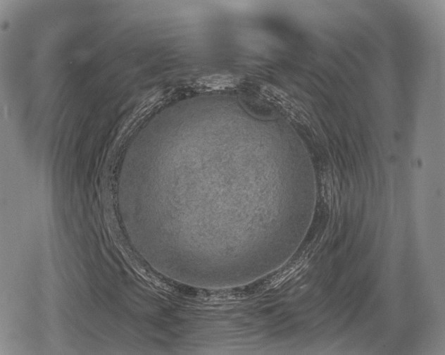 X0000080721393200612151147