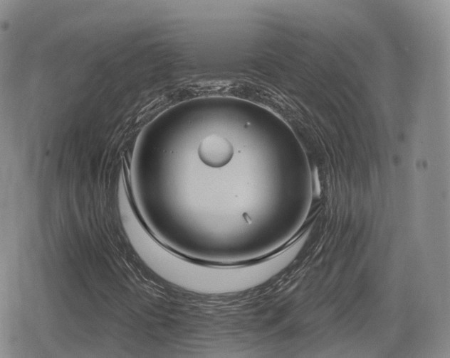 X0000080721394200612151147