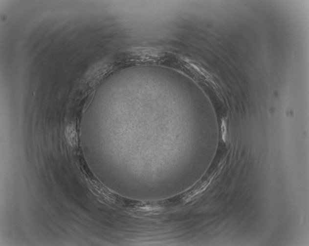 X0000080721395200612151147