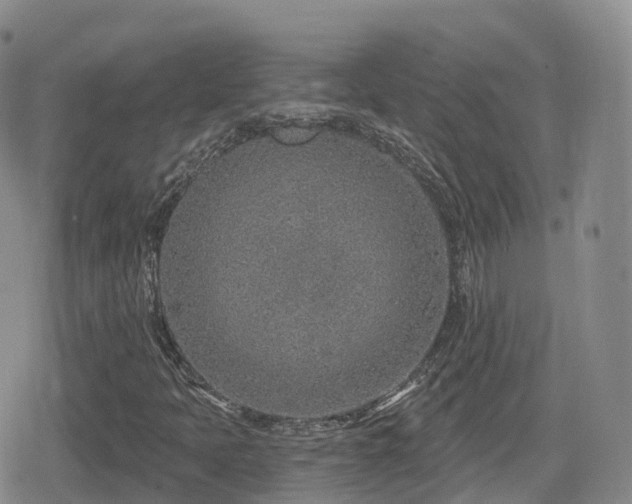 X0000080721397200612151147