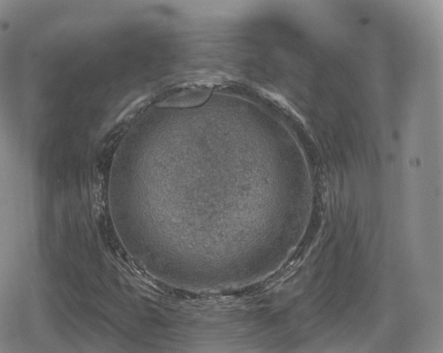 X0000080721399200612151147