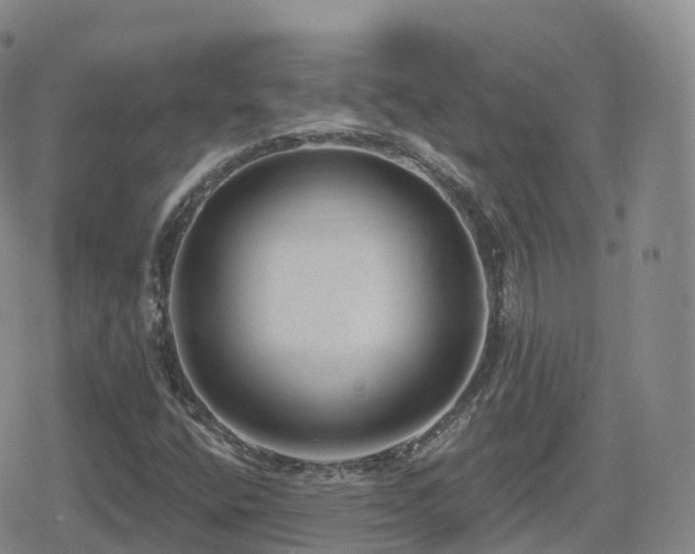 X0000080721400200612151147