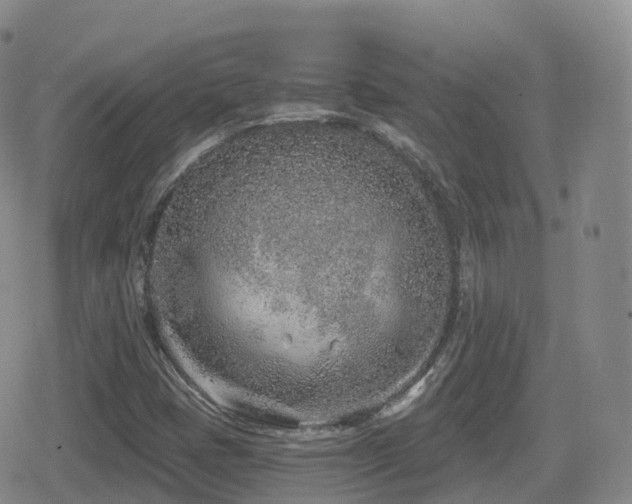 X0000080721401200612151147