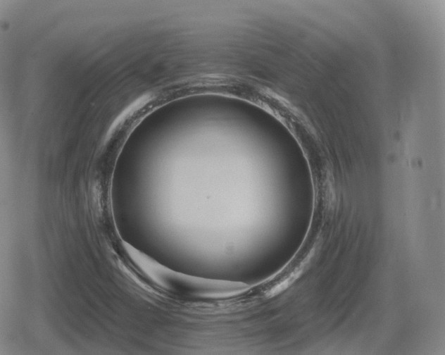 X0000080721402200612151147