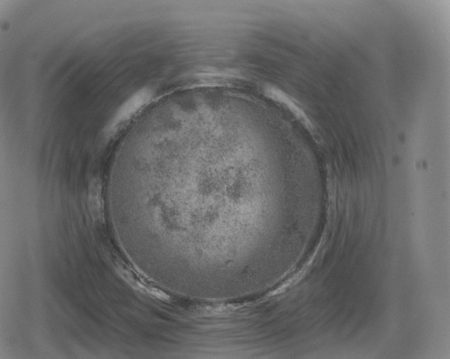 X0000080721403200612151147