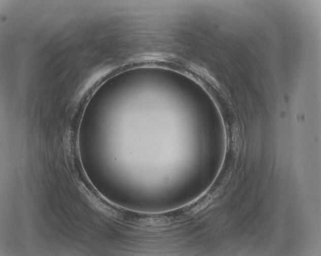 X0000080721404200612151147