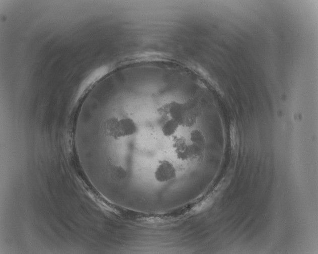 X0000080721405200612151147