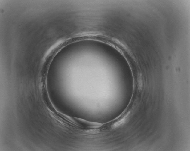 X0000080721406200612151147