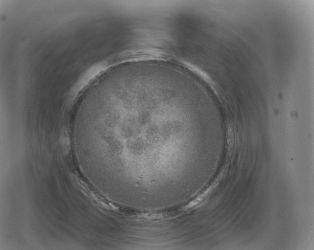 X0000080721407200612151147