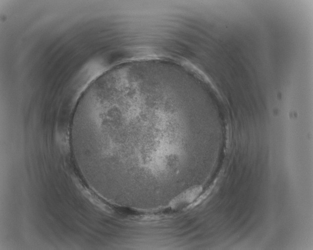 X0000080721409200612151147