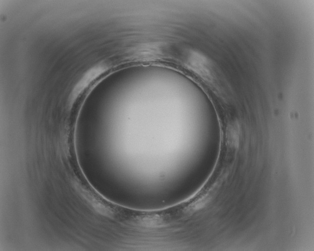 X0000080721410200612151147