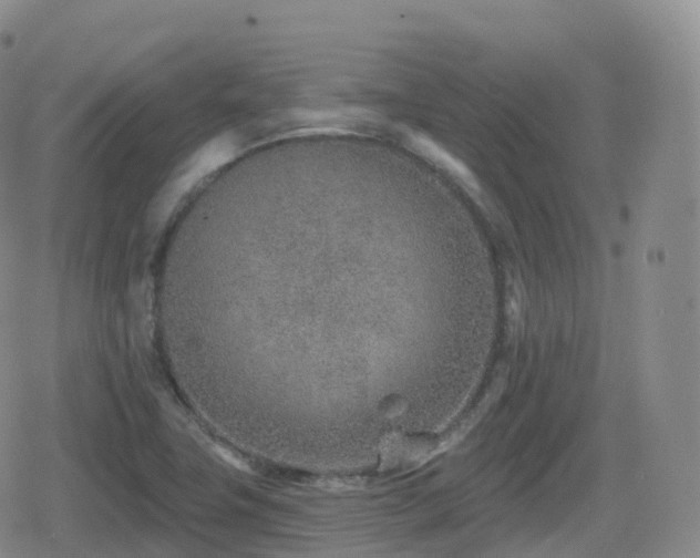 X0000080721411200612151147