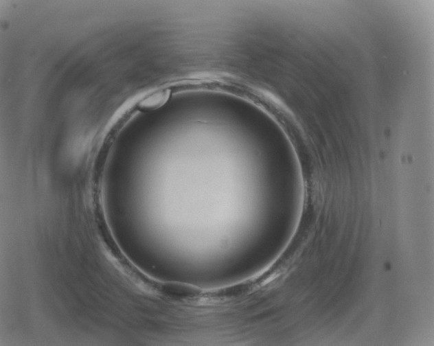 X0000080721412200612151147