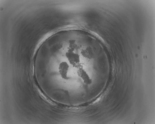 X0000080721413200612151147