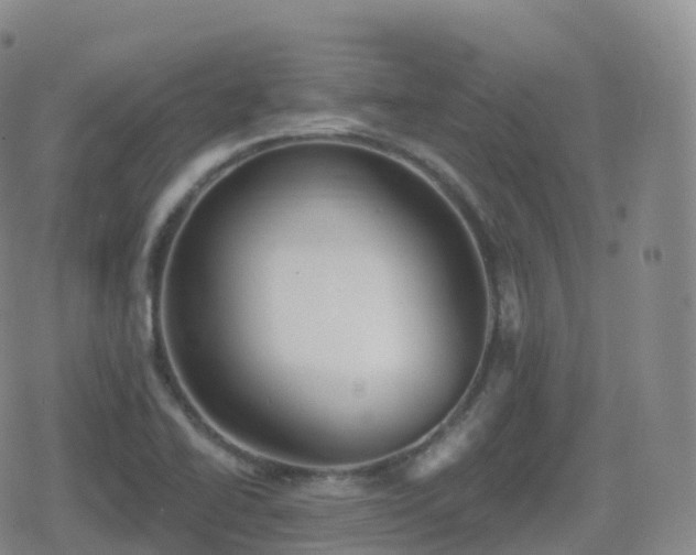 X0000080721414200612151147