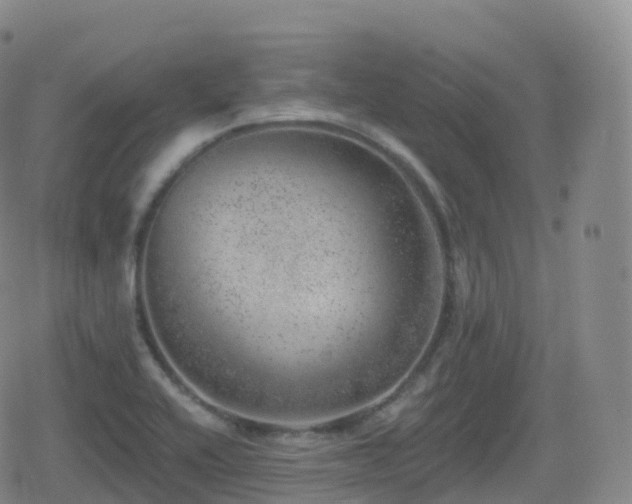 X0000080721416200612151147