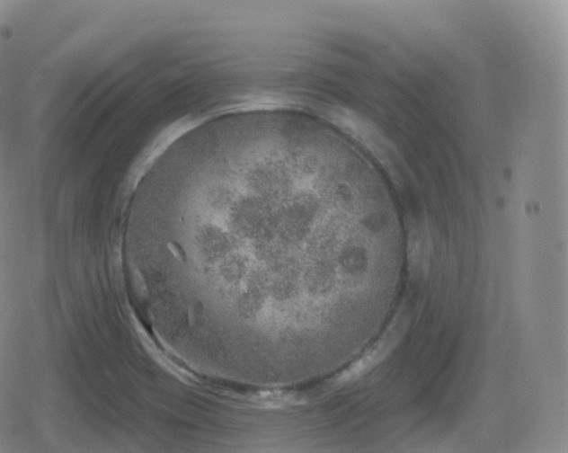 X0000080721417200612151147