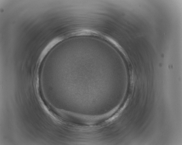 X0000080721418200612151147