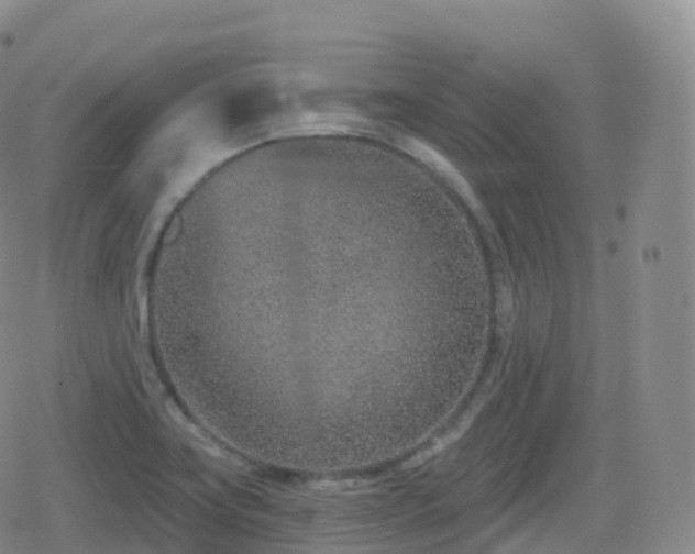 X0000080721419200612151147