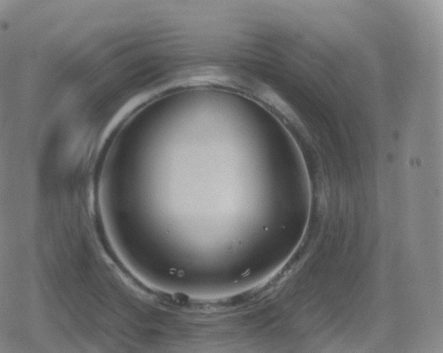 X0000080721420200612151147