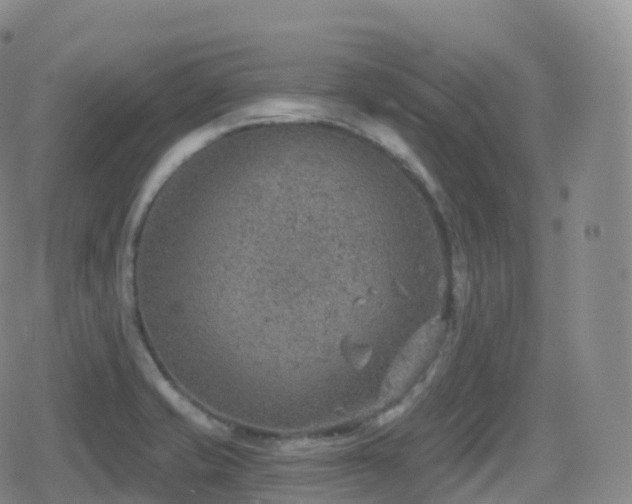 X0000080721421200612151147