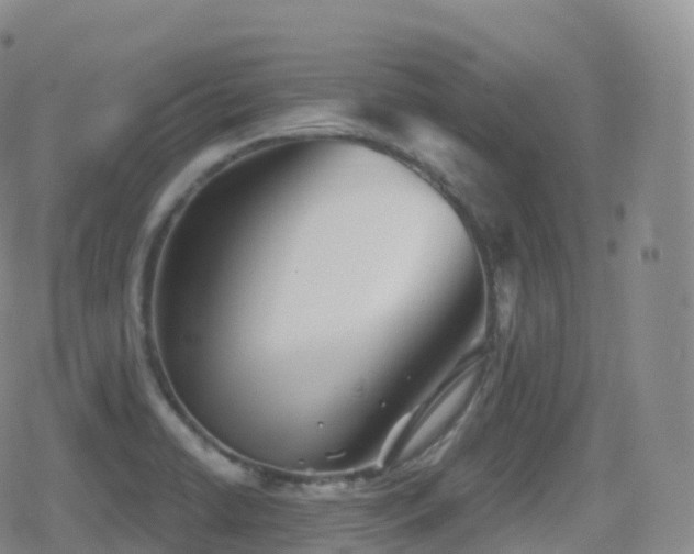 X0000080721422200612151147