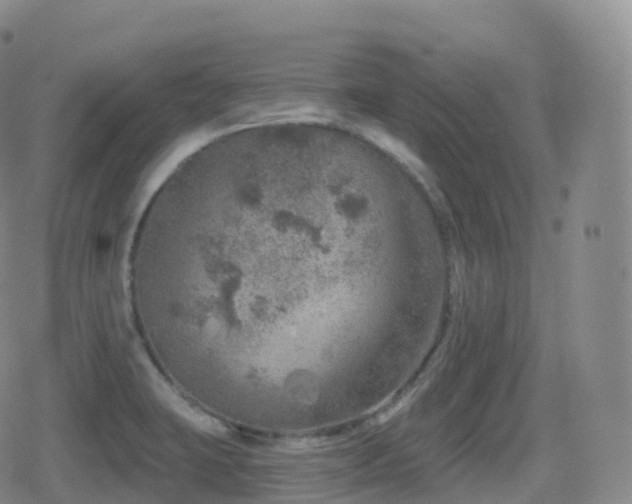 X0000080721423200612151147