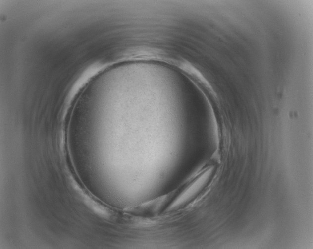 X0000080721424200612151147